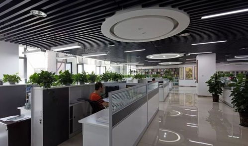 國發創展告訴你大家平時都是如何理財的